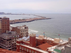 الاسكندريه